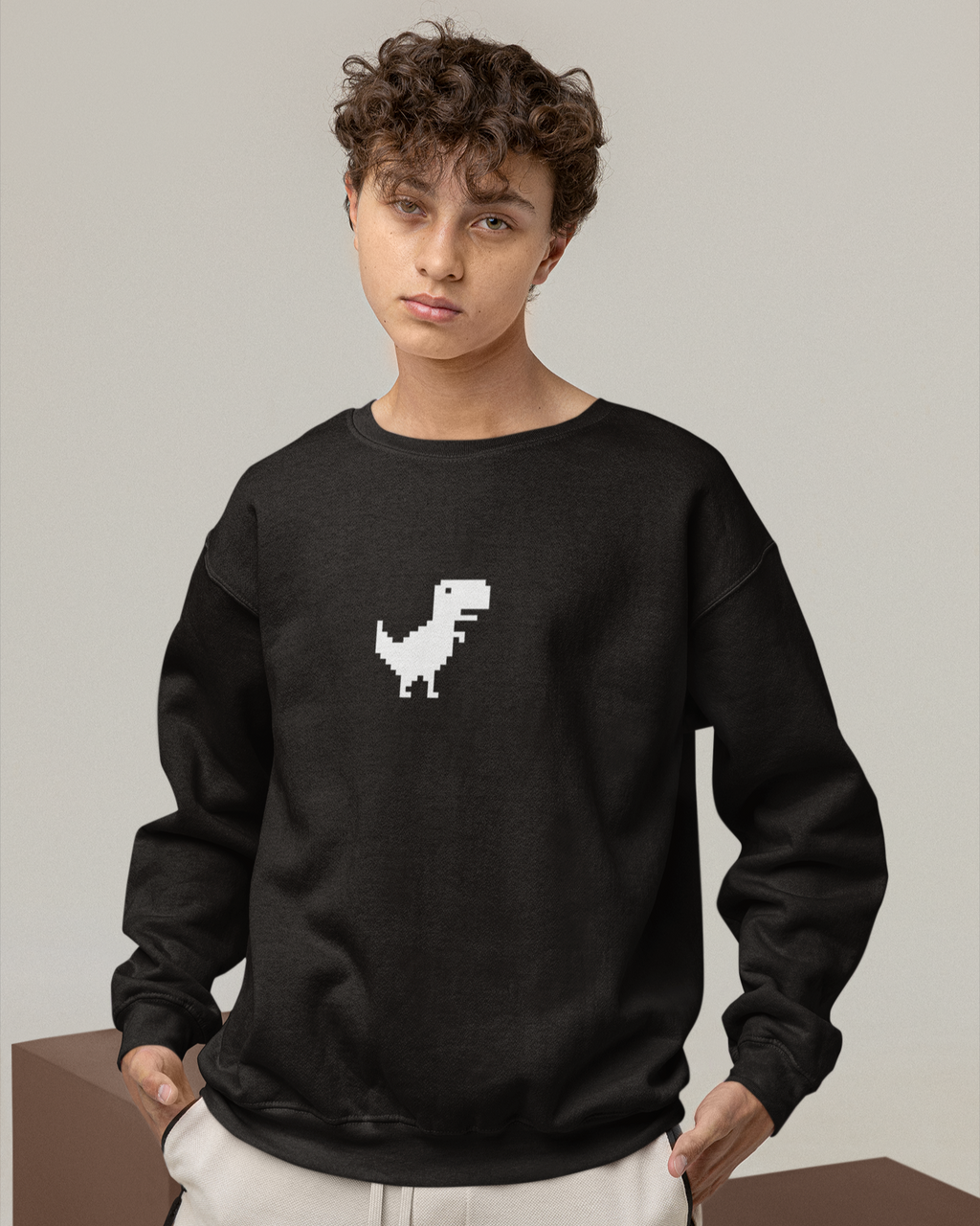 No Internet - Printed Design Sweatshirt